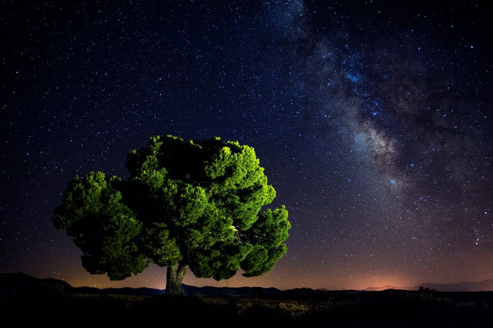 Bajo el Cielo Más Limpio de Andalucía. Sensoria