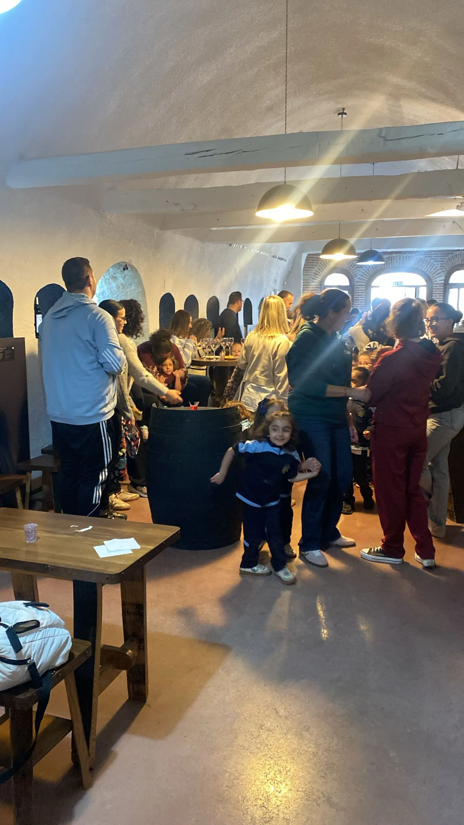 Visita guiada al centro de interpretación de Trópolis