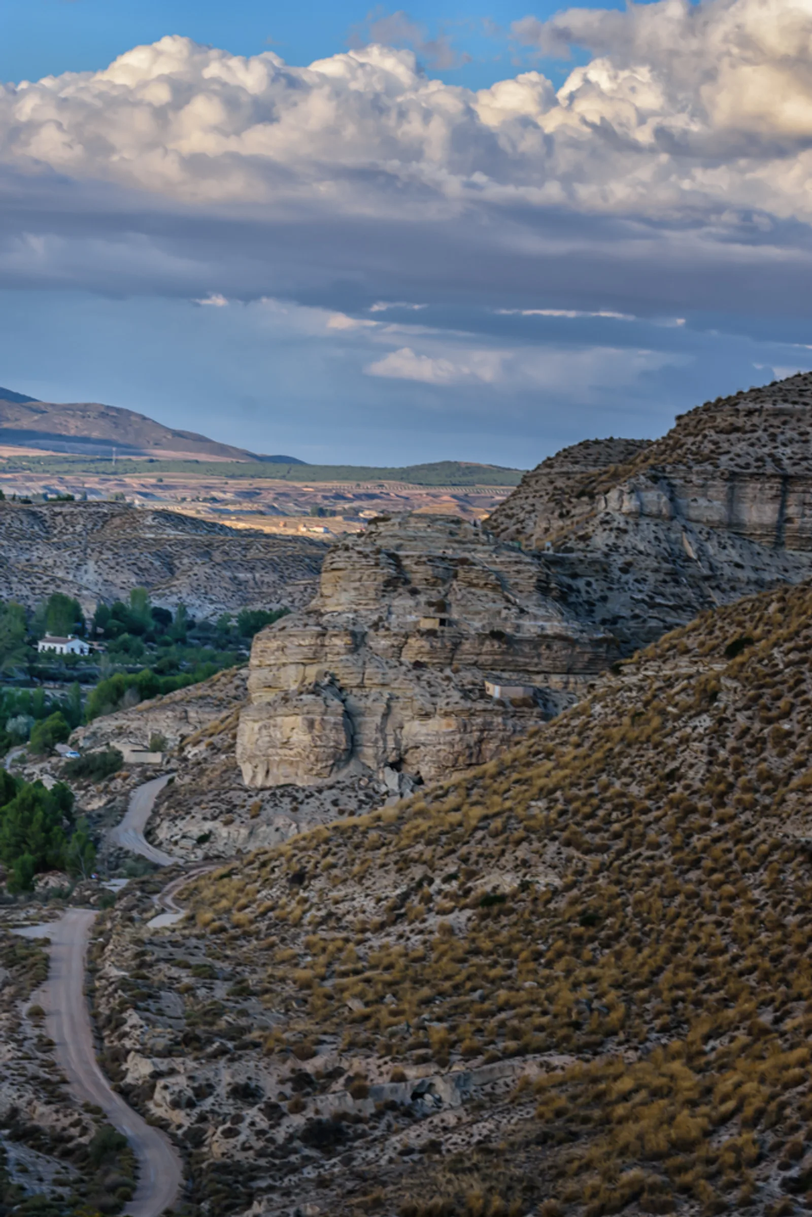 Tierra de Película