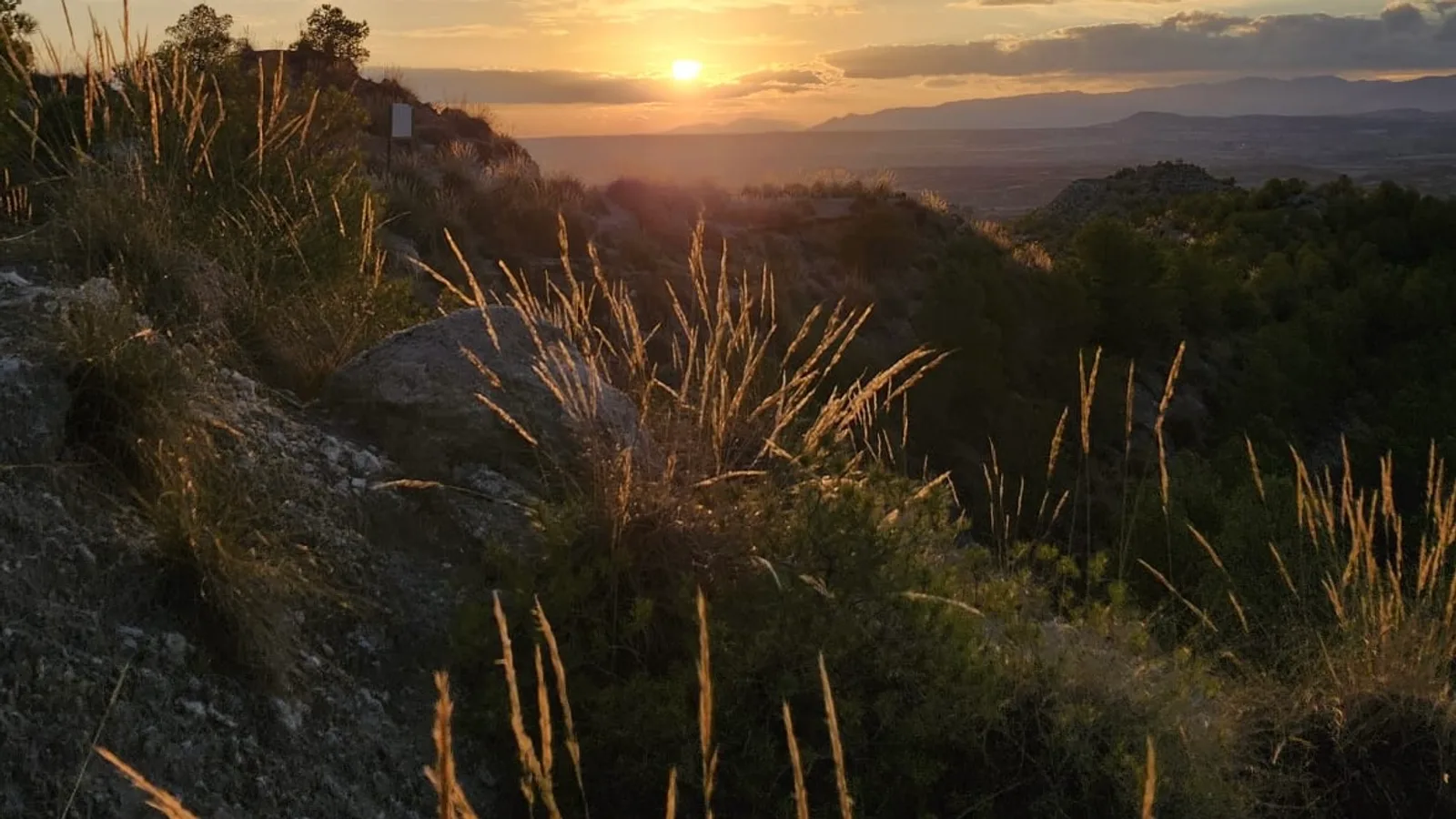 Tierra de Película