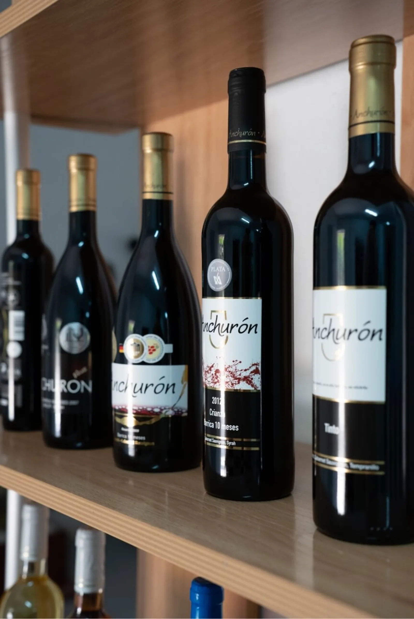 Cata de vinos dirigida